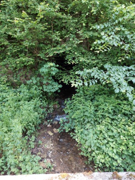 Fichier:Ruis de Renal (33).jpg