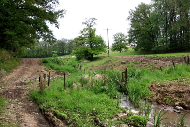 Fichier:Ruisseau Lizin 10.71.JPG
