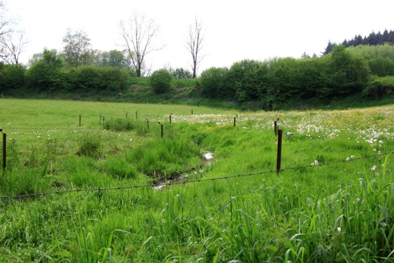 Fichier:Ruisseau Lizin 14.71.JPG