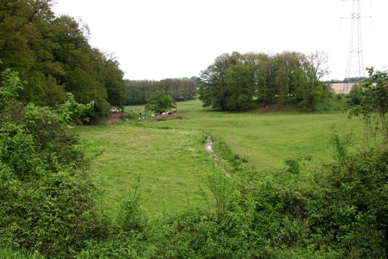 Fichier:Ruisseau Lizin 18.71.JPG
