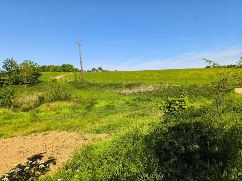 Fichier:Ruisseau Lizin 32.71.jpg