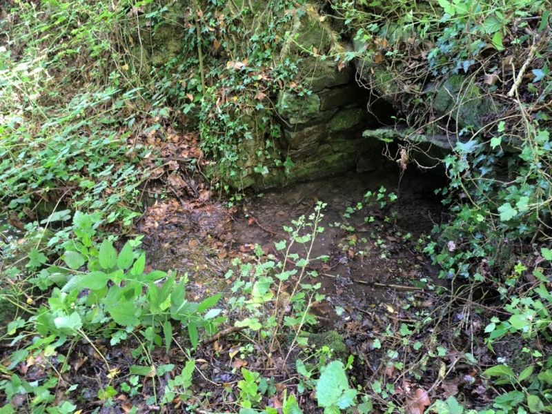 Fichier:Ruisseau Lizin 43.71.jpg