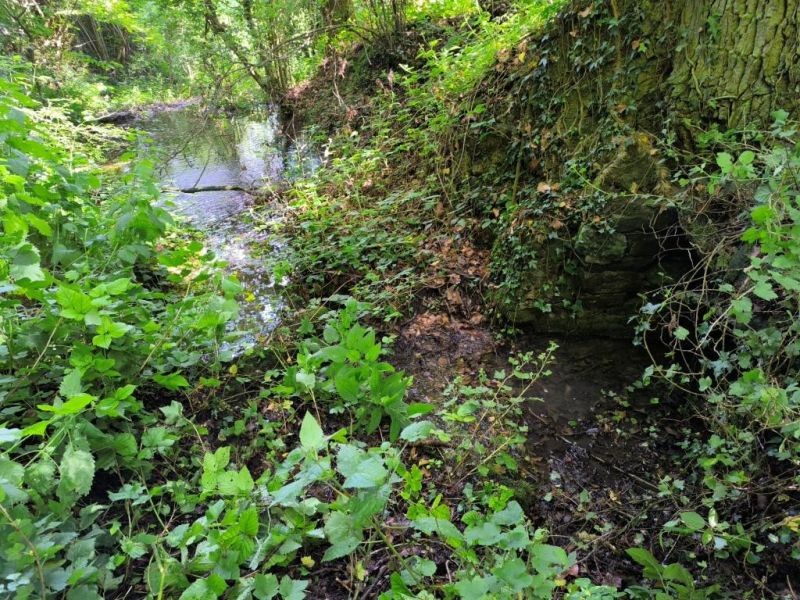 Fichier:Ruisseau Lizin 44.71.jpg