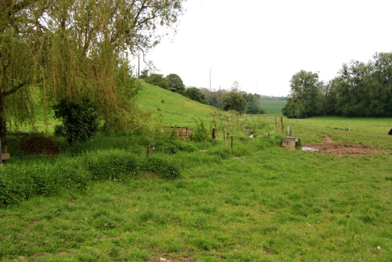Fichier:Ruisseau Lizin 6.71.JPG