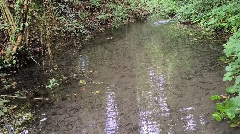 Fichier:Ruisseau de Lizin Trop plein source du hameau.jpg