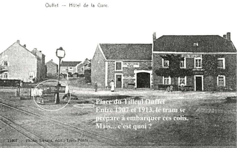 Fichier:Tilleul 13.Eni.71.jpg