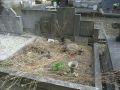 Vignette pour la version du 12 décembre 2014 à 13:24