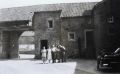 Toujours dans la cour de la ferme